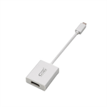 Color Blanco Conversor USB-C a DisplayPort Nano Cable 10.16.4104 