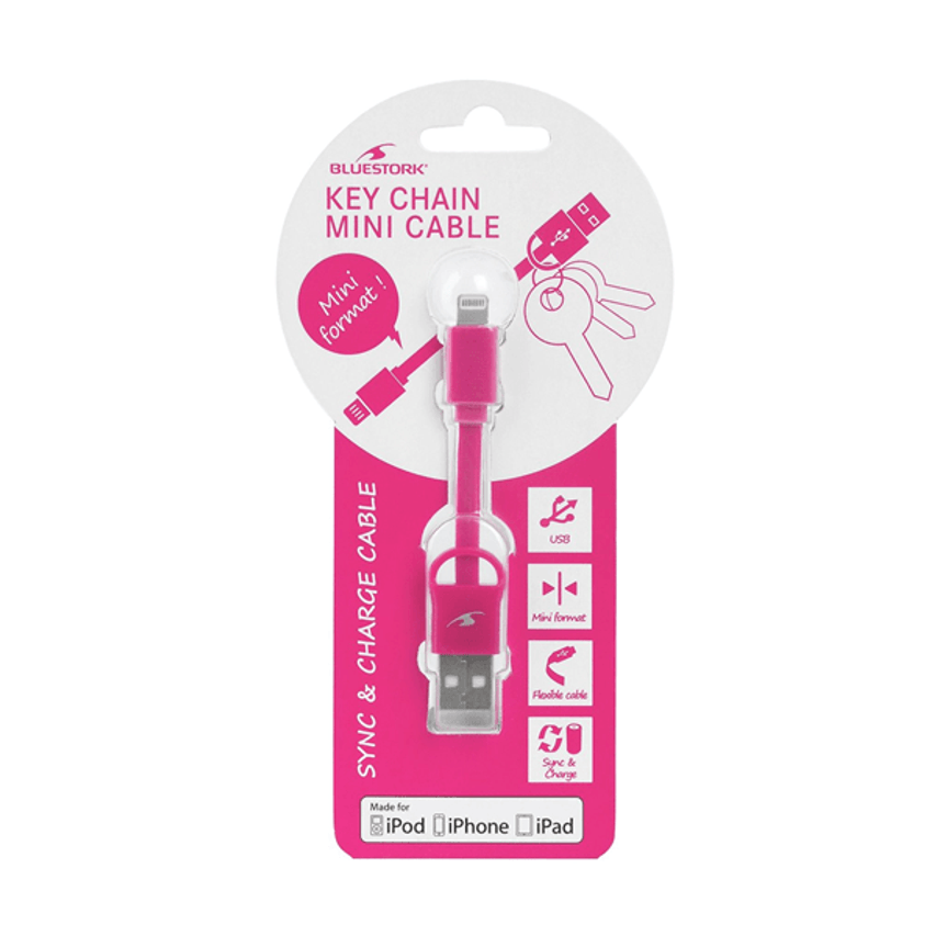IN-BS-USB-IKEY/P