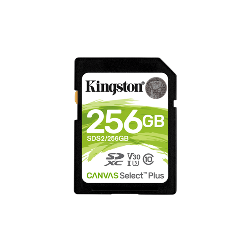 SDS2/256GB
