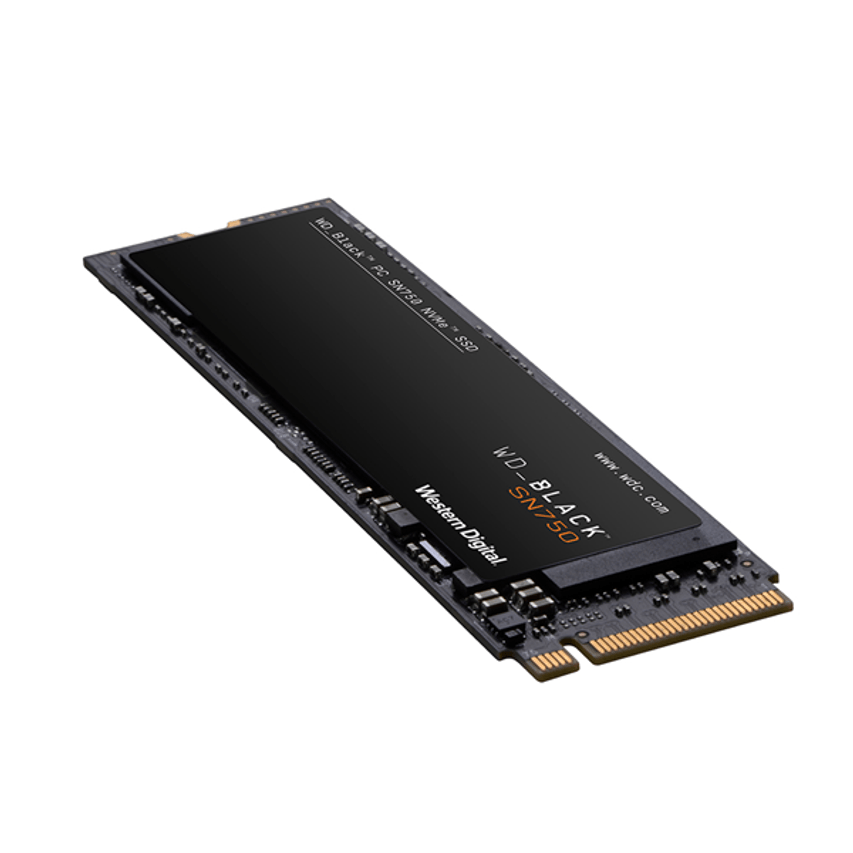 WDS100T3XHC
