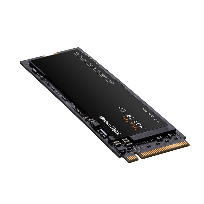 WDS100T3XHC