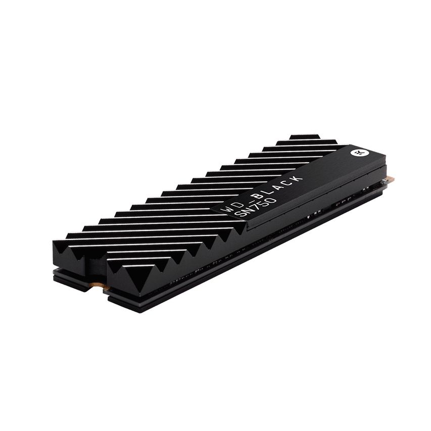 WDS100T3XHC