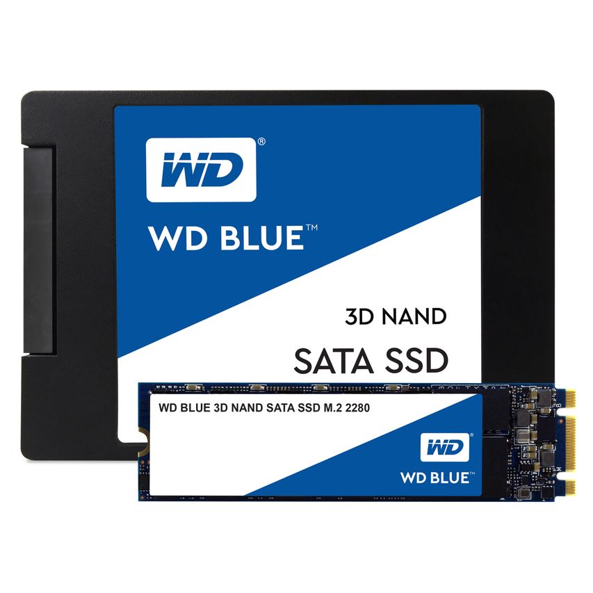 WDS250G2B0B