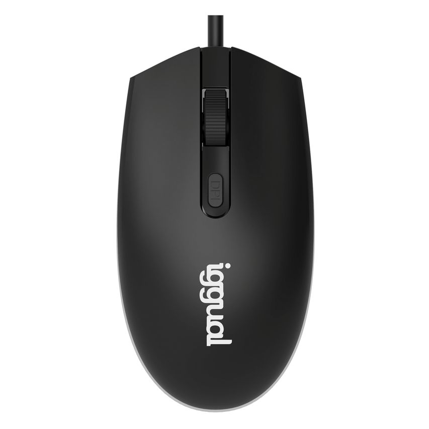 IGG317624
