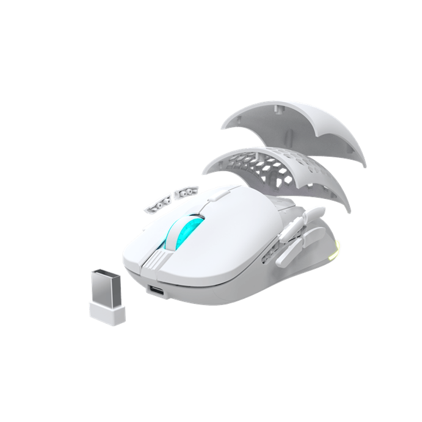 NS-MS-ARAKNE-ELITE-IV