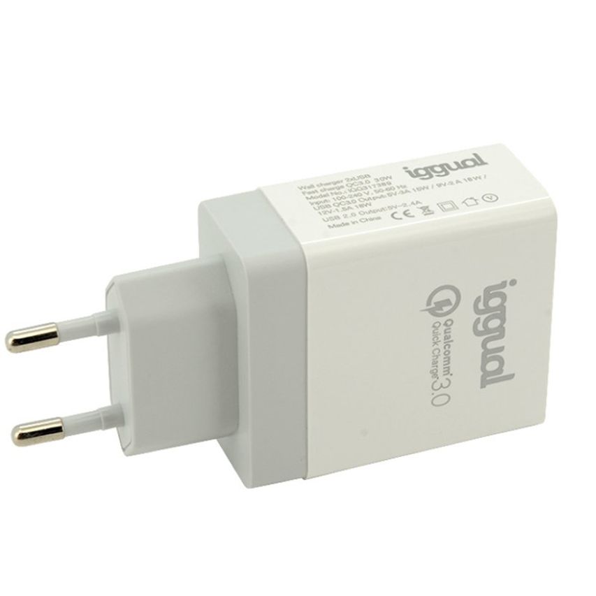 IGG317389