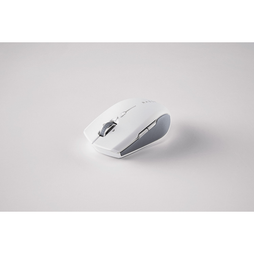 RZ01-03990100-R3G1
