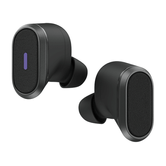 Zone True Wireless Graphite
