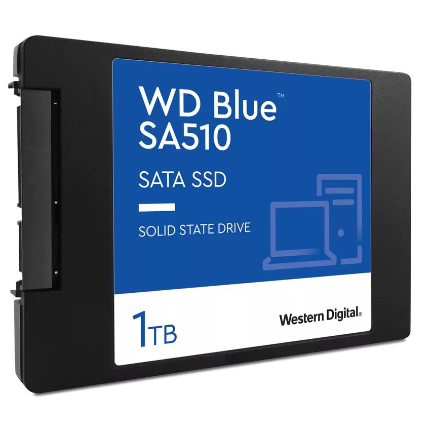 WDS100T3B0A
