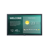 MONITOR LG 22SM3G-B   21.5" 1920 x 1080 HDMI Altavoces