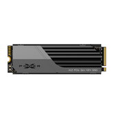 SP XS70 SSD 1TB NVMe PCIe Gen 4x4 w/HS