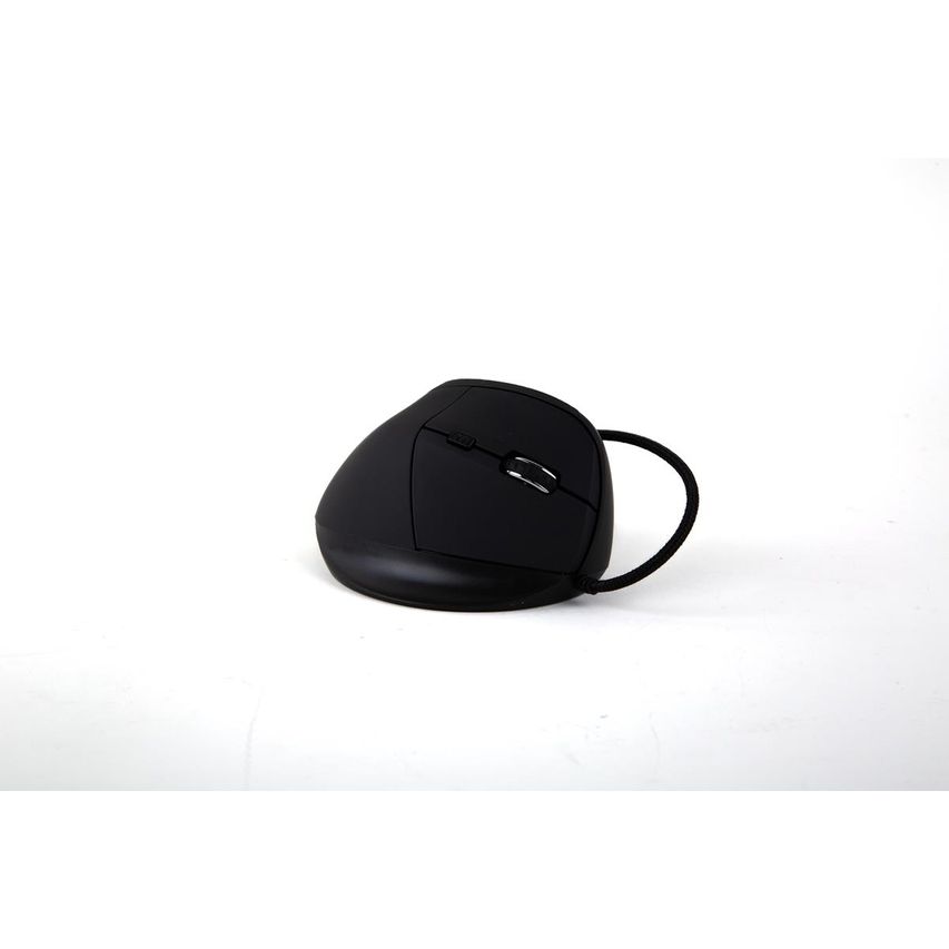 IGG318386