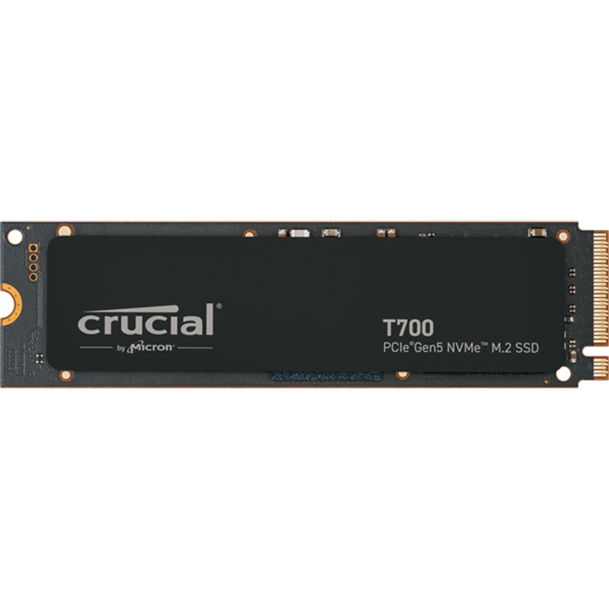 CT1000T700SSD3
