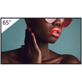 SONY FW-65BZ40L   65" LCD IPS 4K Ultra HD HDMI Altavoces