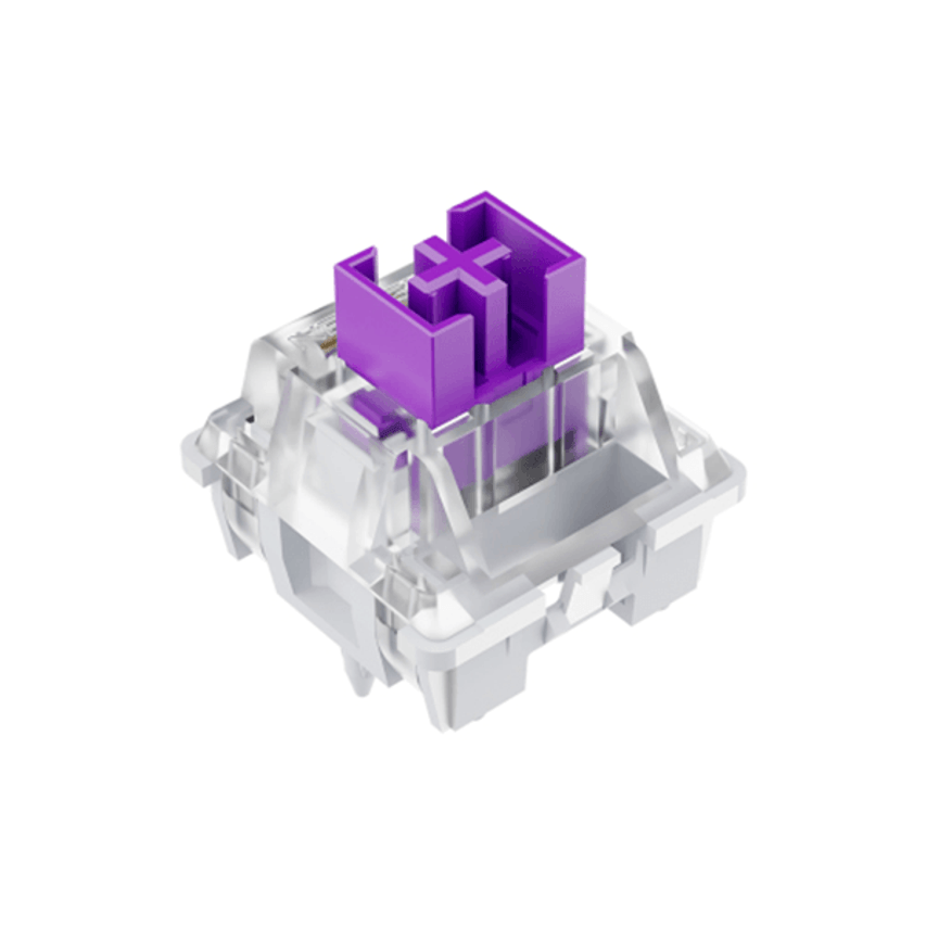 NS-SW-NSWITCH-PURPLE
