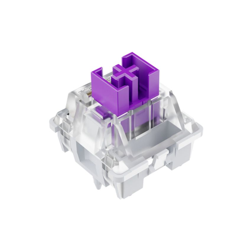 NS-SW-NSWITCH-PURPLE
