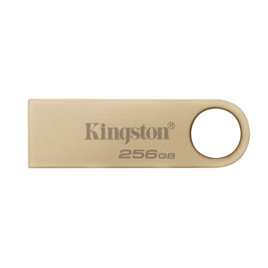 DTSE9G3/256GB