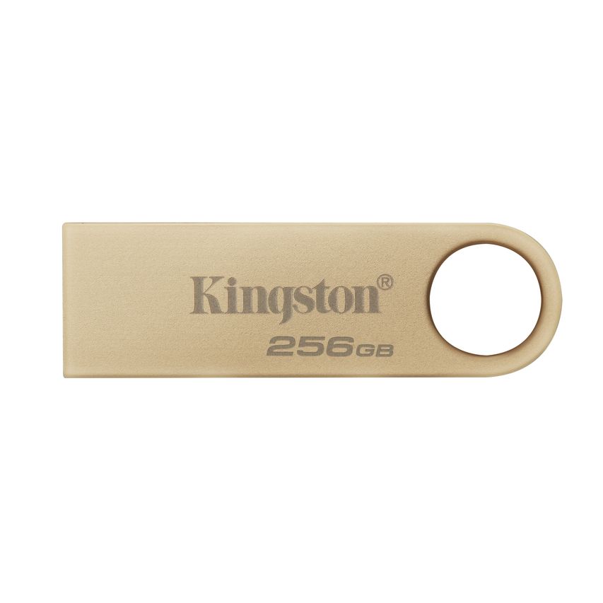 DTSE9G3/256GB