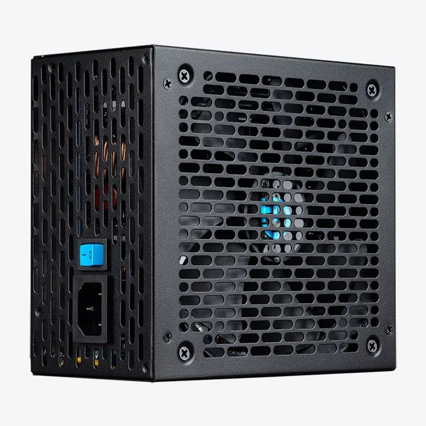 PSU010040