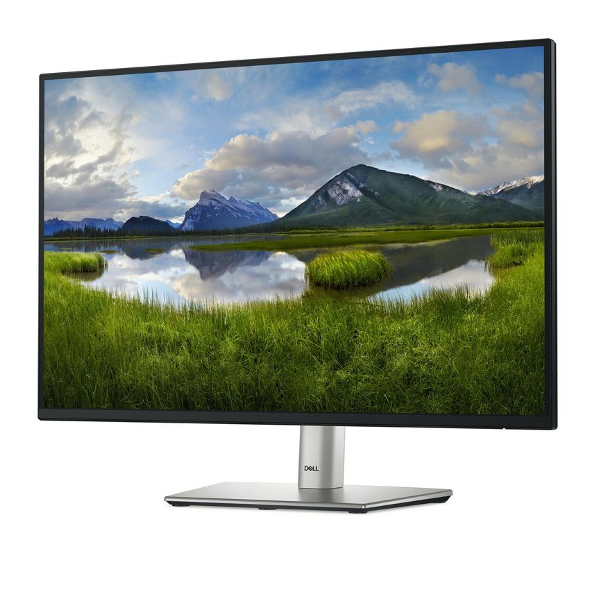 DELL-P2425