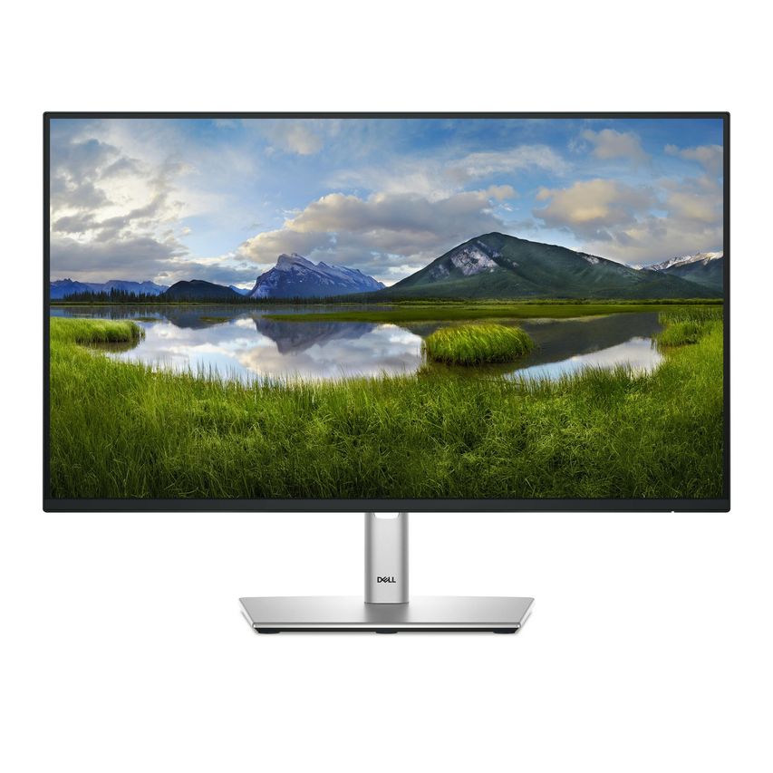 DELL-P2425HE