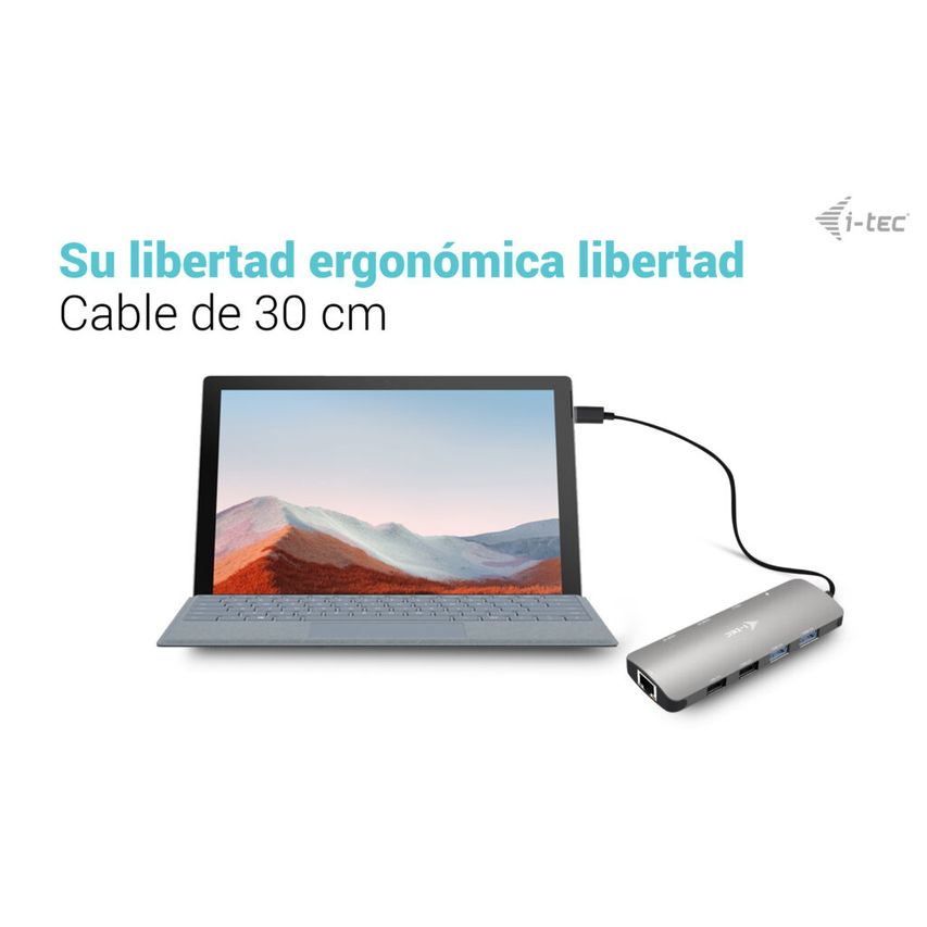 C31NANOHDM2D100