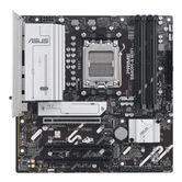 Asus AMD  PRIME B840M-A WIFI Socket AM5