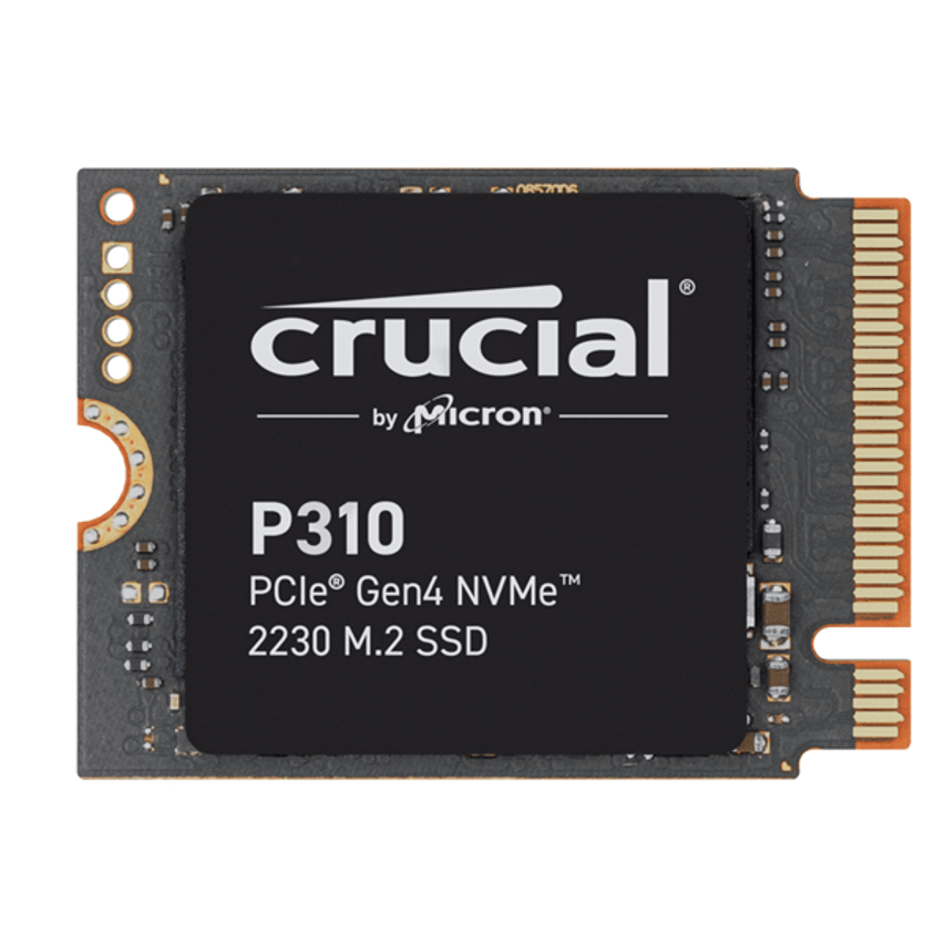 CT1000P310SSD2