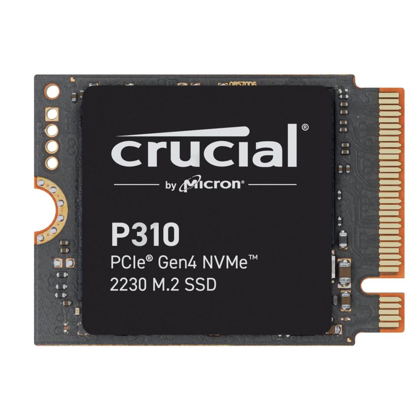 CT1000P310SSD2