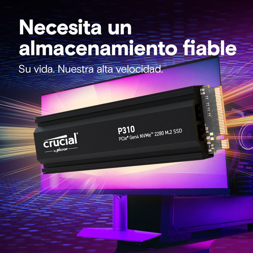 CT1000P310SSD5