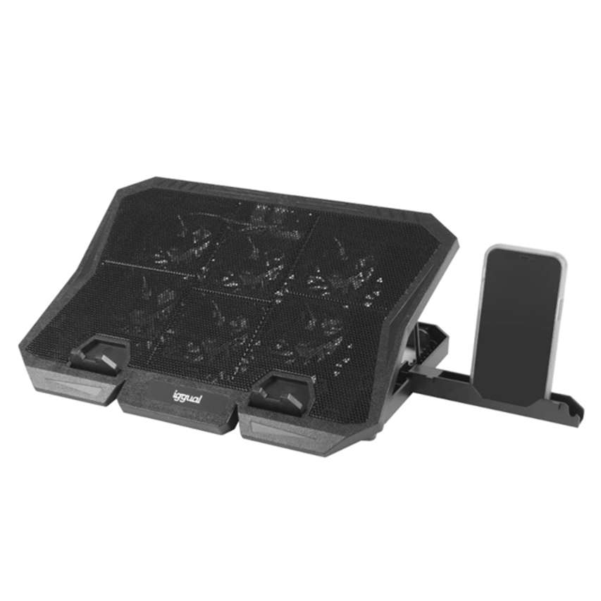 IGG319703