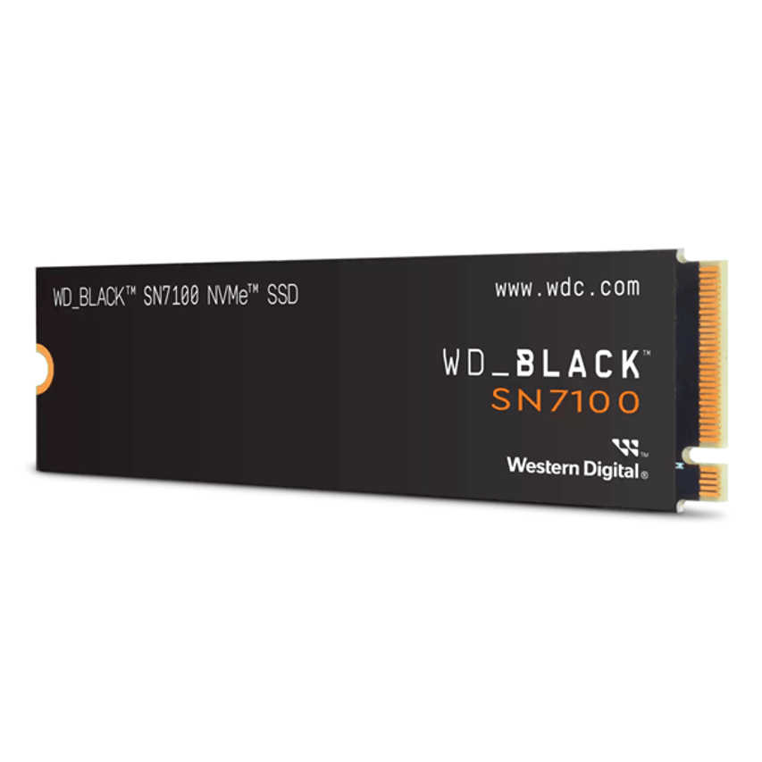WDS100T4X0E-00CJA0
