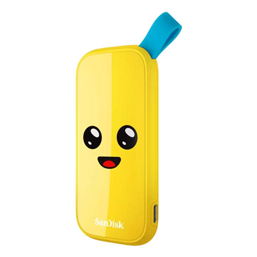 SDSSDE30-2T00-G25F