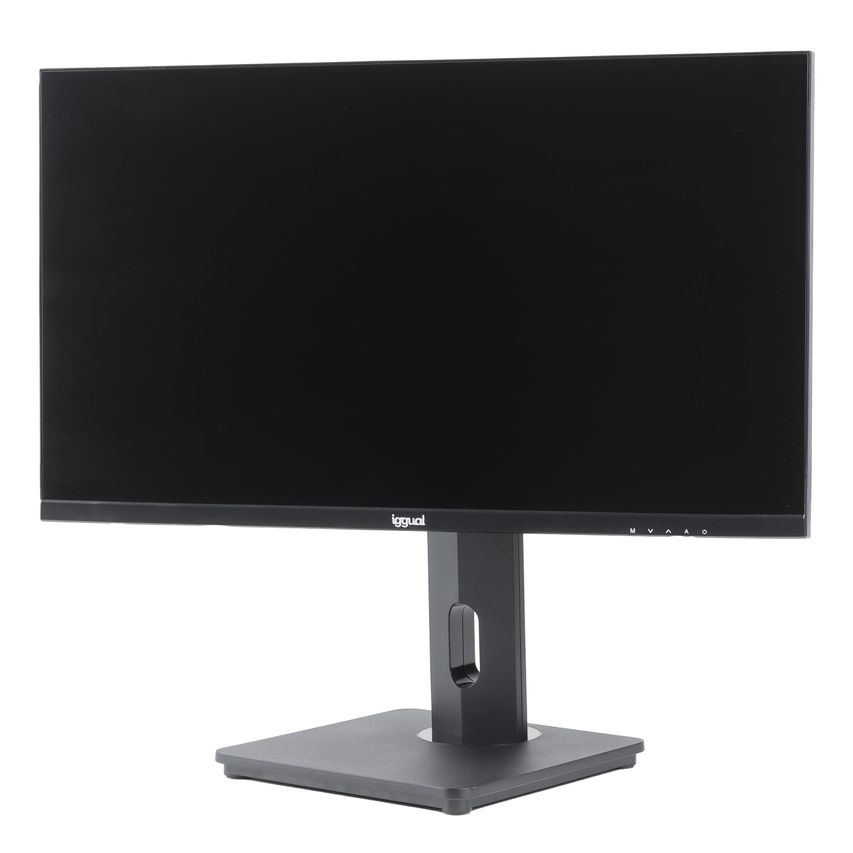 IGG319819