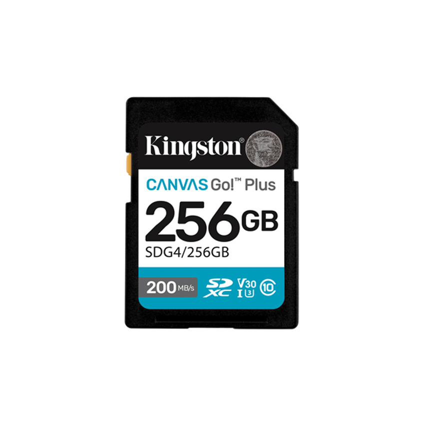 SDG4/256GB