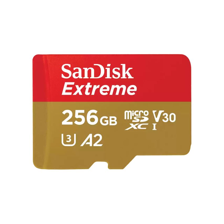 SDSQXAV-256G-GN6GN