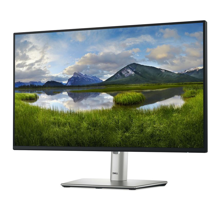 DELL-P2425H