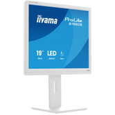 MONITOR IIYAMA B1980S-W1  ProLite 19" TN 1280 x 1024 HDMI Altavoces