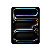 APPLE iPad Pro 13" 12GB/256GB Negro